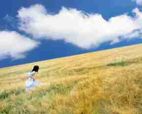 web安﻿全‌怎﻿么﻿入‍门﻿